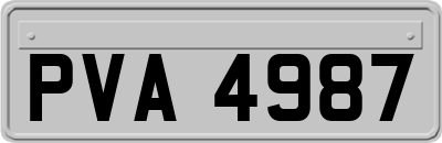 PVA4987