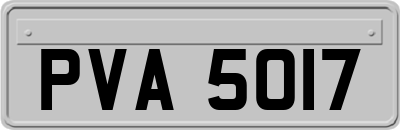 PVA5017