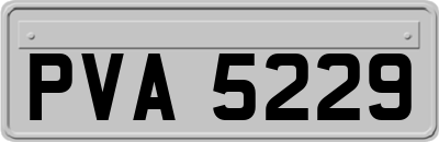 PVA5229