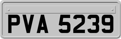 PVA5239