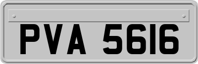 PVA5616