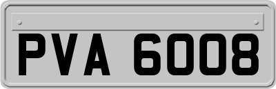 PVA6008