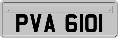 PVA6101