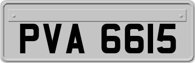 PVA6615