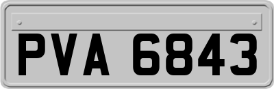 PVA6843