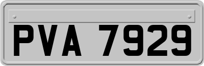 PVA7929