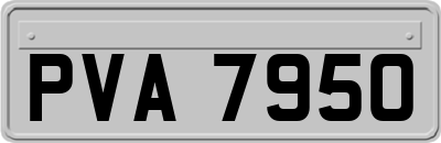 PVA7950