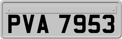 PVA7953