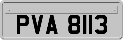 PVA8113