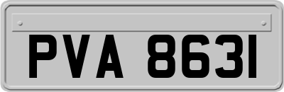 PVA8631