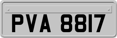 PVA8817