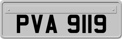 PVA9119