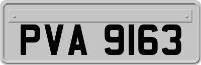 PVA9163