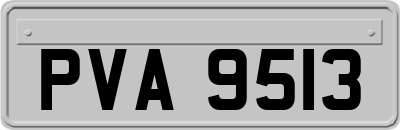 PVA9513
