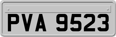 PVA9523