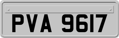 PVA9617