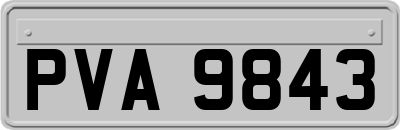 PVA9843