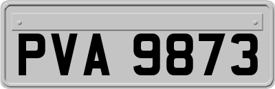 PVA9873