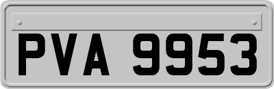 PVA9953