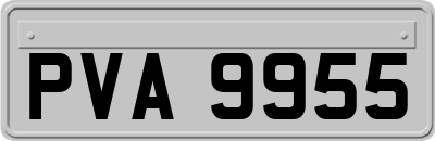 PVA9955