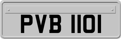 PVB1101