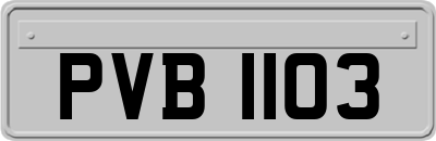 PVB1103