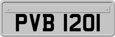 PVB1201