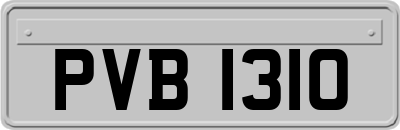 PVB1310