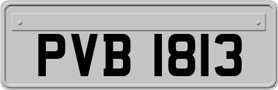 PVB1813