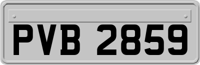 PVB2859