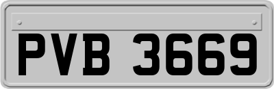 PVB3669