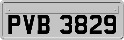 PVB3829