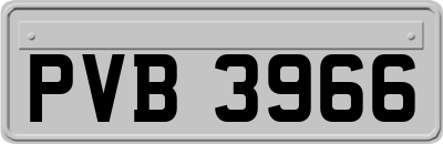 PVB3966