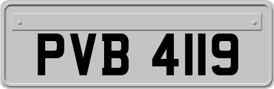 PVB4119