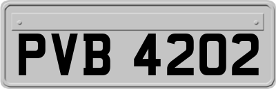 PVB4202