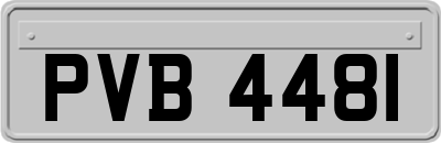 PVB4481