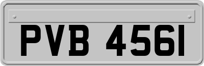 PVB4561