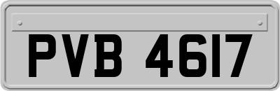 PVB4617