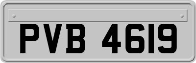 PVB4619