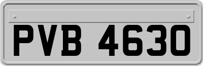 PVB4630