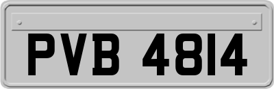 PVB4814