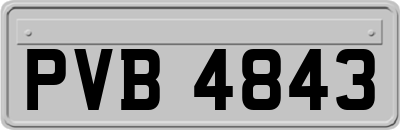 PVB4843