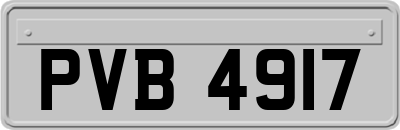 PVB4917