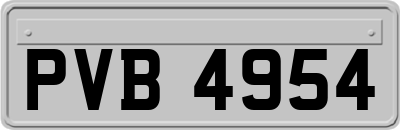 PVB4954