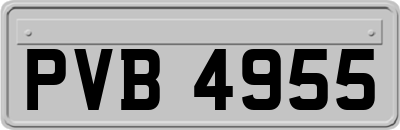 PVB4955