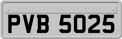 PVB5025