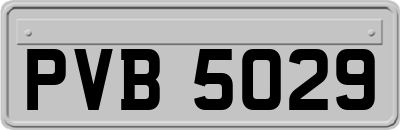 PVB5029