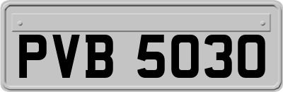 PVB5030
