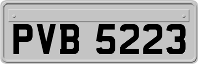 PVB5223