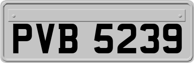 PVB5239